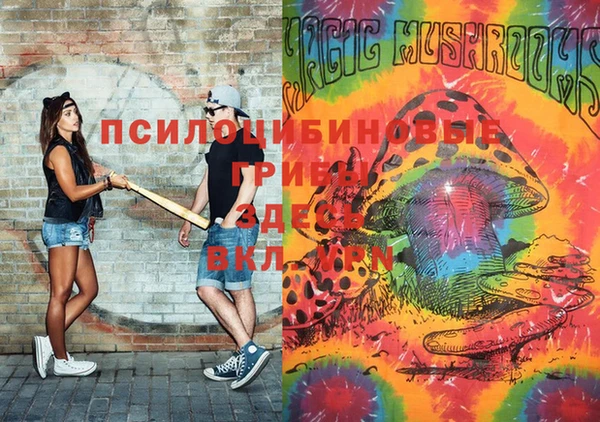молекула духа Алексеевка