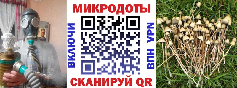 Галлюциногенные грибы Cubensis  Брюховецкая 